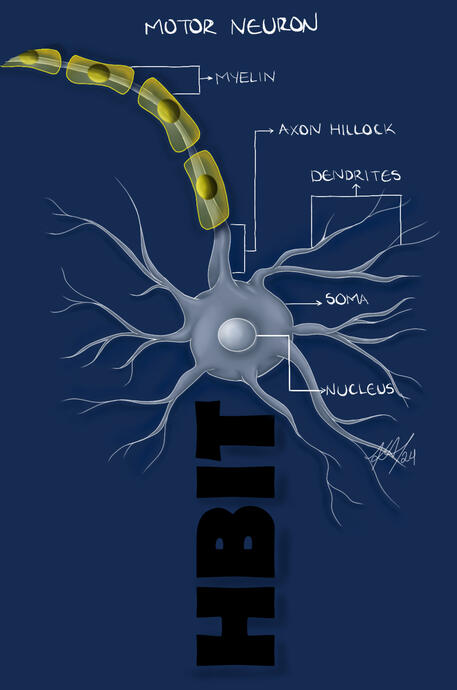 T-shirt Design